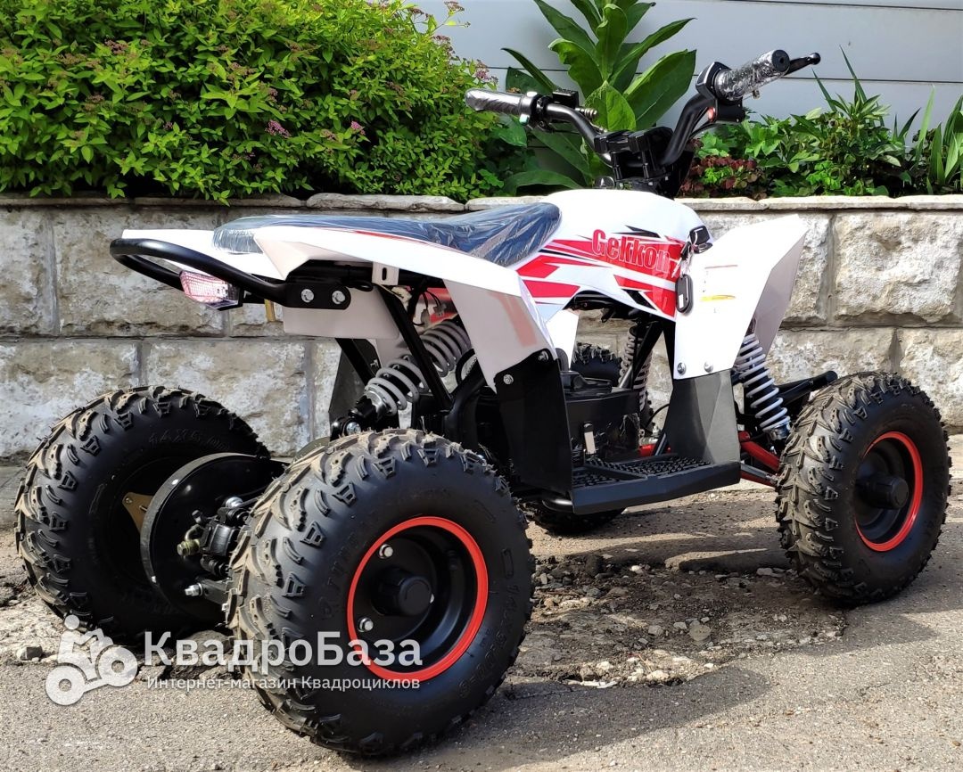 Детский электроквадроцикл Motax Gekkon 1300W